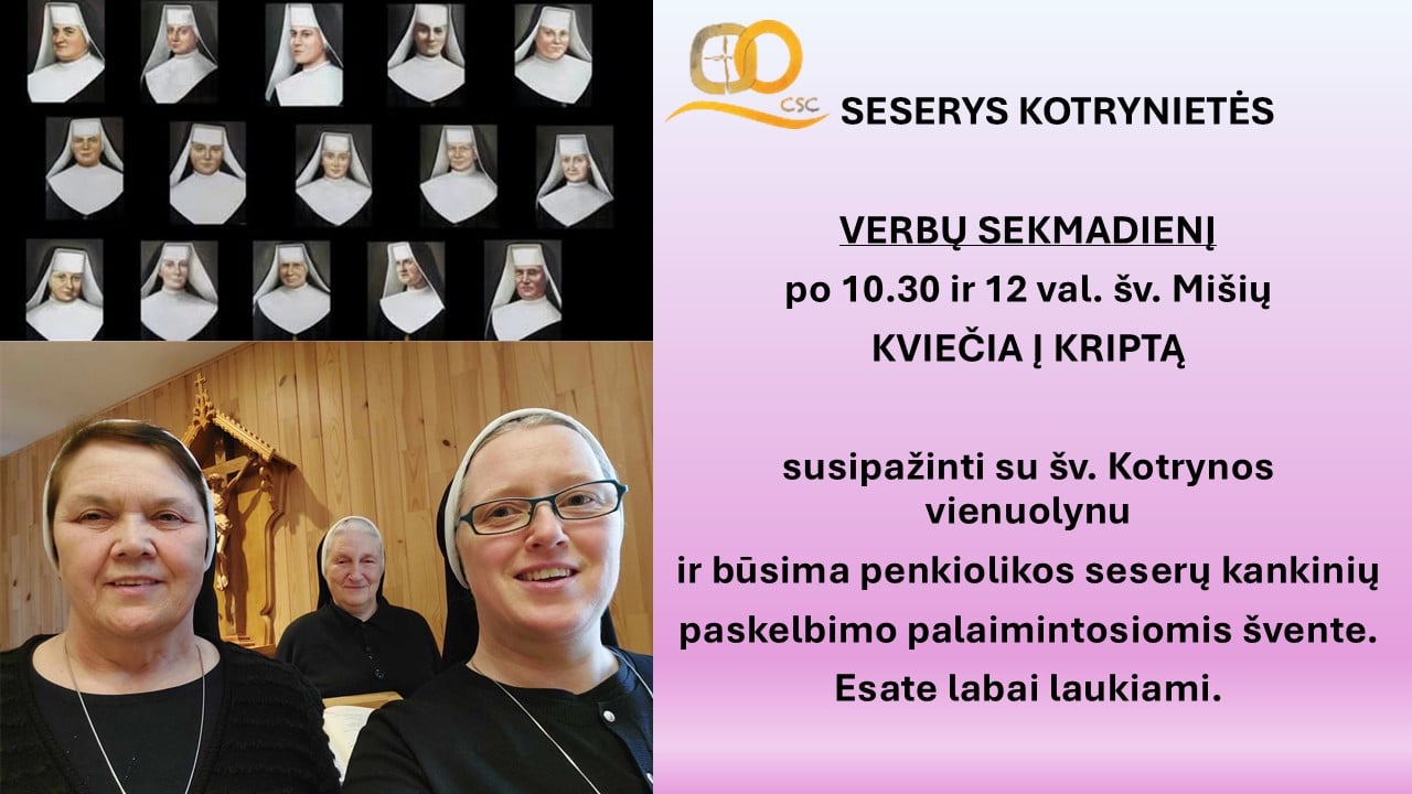 23eb68d0 7d84 4df9 9a10 336dd7fac44c