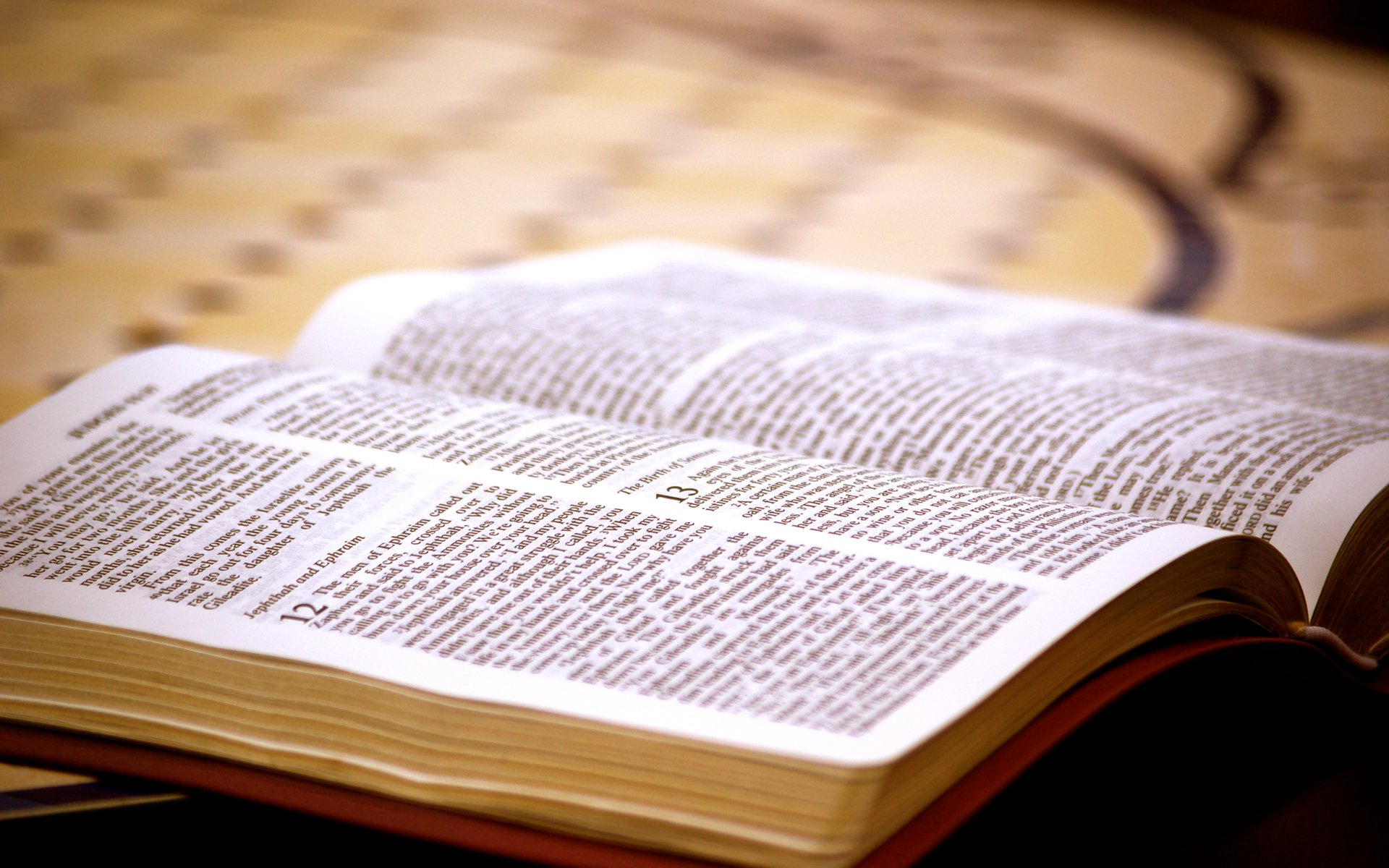 9b2c4b44fb86522964124ed80d03c5e8 XL