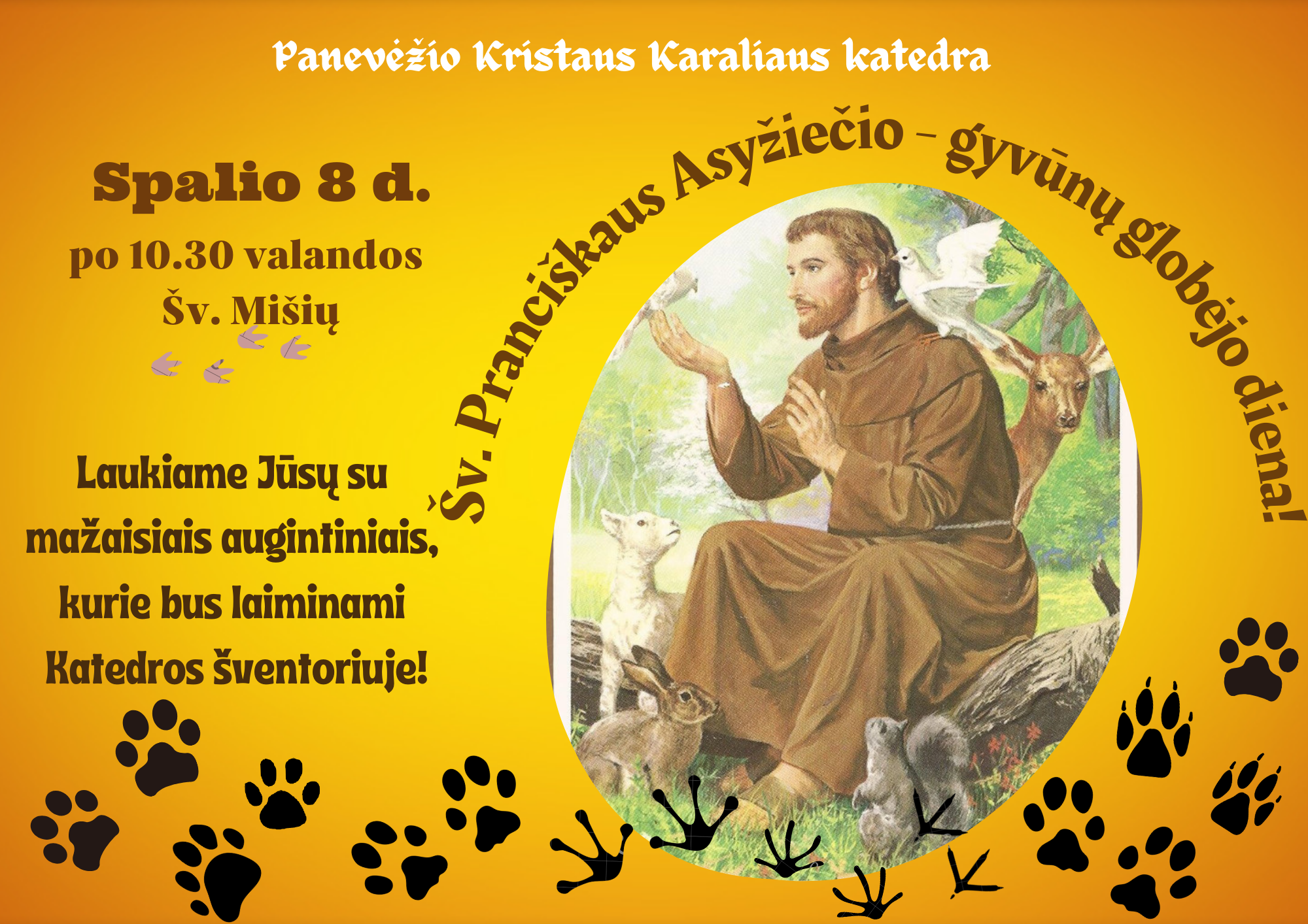 Panevezio Kristaus Karaliaus katedra 4