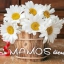 images 16